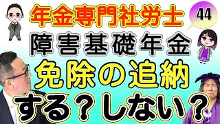 障害基礎年金受給中は国民年金保険料が免除に！その後追納した方がよい？ ＃４４ [upl. by Aniri]