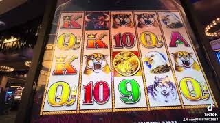 Morongo Casino Been a while I haven’t played this Let’s see how it’s going to treat me [upl. by Anoval220]