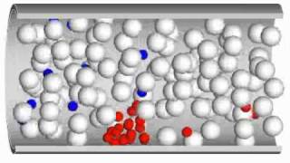 Simulation of Platelet Aggregation in the Presence of Red Blood Cells [upl. by Neros]