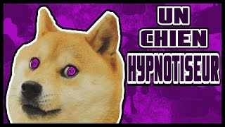 HYPNOSE  BART LE MEILLEUR CHIEN HYPNOTISEUR [upl. by Vlad59]