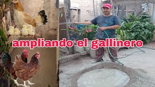 cómo empeze mi nuevo gallinero para mis gallinas [upl. by Enimsaj]