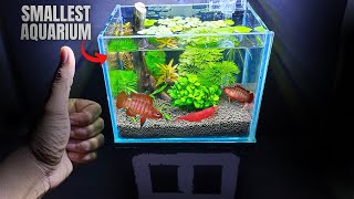 SMALLEST AQUARIUM IN THE WORLD  MINIATURE AQUARIUM [upl. by Kenelm274]