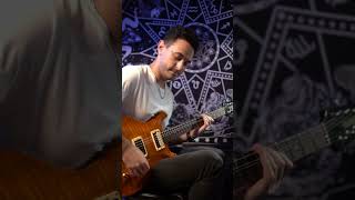 Wonderful Slippery Thing  Guthrie Govan Cover [upl. by Enyamart574]