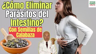 🔴¿COMO ELIMINAR PARÁSITOS DEL INTESTINO CON SEMILLAS DE CALABAZA 🔴 [upl. by Zildjian]