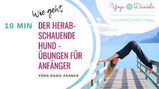 Herabschauender Hund  Erklärung Tipps amp Übungen für Anfänger  Yoga Basics  10 Minuten [upl. by Yhtomiht]