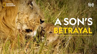 A Son’s Betrayal  Savage Kingdom Uprising  हिन्दी  Full Episode  S6  E1  Nat Geo Wild [upl. by Kerby]