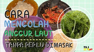 CARA MENGOLAH ANGGUR LAUT  LawiLawi  Rumput Laut  Green Caviar Caulerpa Racemosa  URAP [upl. by Jonis]