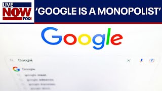 Google has illegal monopoly over internet search judge rules  LiveNOW from FOX [upl. by Llennoc]