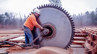 19 Amazing Fastest Big Wood Sawmill Machines Working At Another Level [upl. by Ecienaj]