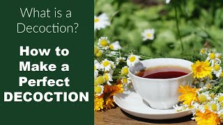 What is a Decoction and How Do You Make One [upl. by Pickering]