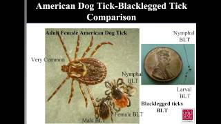 Emerging Tickborne Diseases Lyme Disease the Blacklegged Tick and More [upl. by Sanderson]