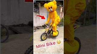 Teddy 🧸On Mini Bike 🚀🤣……funnyshorts teddycomedy [upl. by Monte]