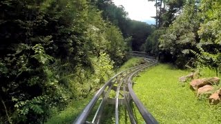 Smoky Mountain Alpine Coaster onride HD POV 60fps [upl. by Akerdnahs91]