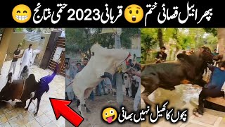 Hilarious Animal Qurbani Fails 😂 Bakra Eid 2023 Anari Kasai viral videos  Israr Info Tv [upl. by Tnattirb907]