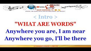 WHAT ARE WORDS KARAOKE LYRICS BY CHRIS MEDINA [upl. by Joashus]