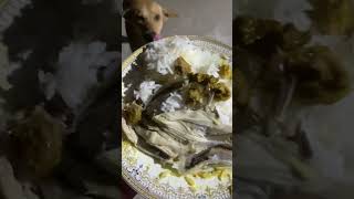 Nice food for my dog today food dogfood doglover [upl. by Ambrosius756]