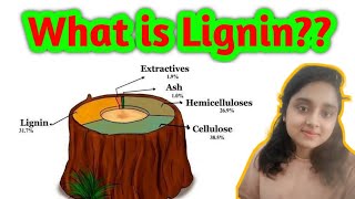 What is Lignin  All about lignin  Biotechnology Biochemistry [upl. by Violet402]