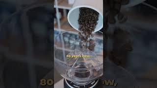 FIORENZATO ALL GROUND COFFEE GRINDER IN DEPTH OVERVIEW  Eight Ounce Coffee  COFFEE GRINDER [upl. by Waldon]