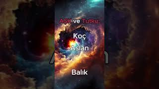 AŞK DEYİNCE BURÇLAR astroloji shortvideo [upl. by Bertrando]