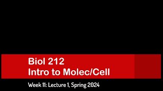 CSULB Spring 2024 Biol 212  Week 11 Lecture 1 [upl. by Julis7]