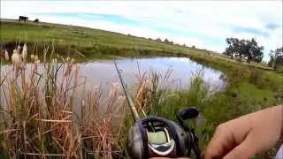 Limber Keel 120 catch murray cod [upl. by Hedley237]