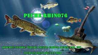 PECHE RHINO76  Truite à la mouche Abbaye de Mortemer [upl. by Negriv132]