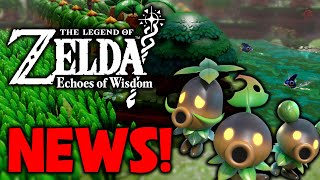 BIG Zelda Echoes of Wisdom News is Here [upl. by Cesare]