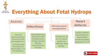 Everything About Fetal Hydrops [upl. by Piper]