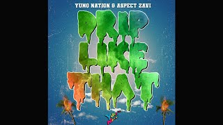 YUNG NATION amp Aspect Zavi quotDrip Like Thatquot Audio [upl. by Gaultiero964]