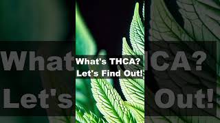 THCA Explained Benefits and Uses [upl. by Nessie]