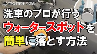 簡単にできる！洗車のプロが傷をつけずに行う「ウォータースポット（水垢）」の落とし方【再アップ】 [upl. by Nnylg]