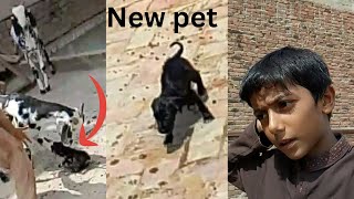 Minizoo me New pet 🐕 a gyaBakry ne Dog ko mara😰HSU pet lovers [upl. by Sadirah]