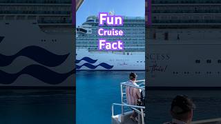 ANOTHER FUN FACT shorts shortsvideo shortsfeed cruise funfacts [upl. by Darce]