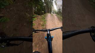 mtb ❤️ mtb mtbdirt bike downhill mountainbike sendit enduro kingdom fullsend jump [upl. by Thetos208]