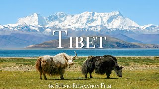 Tibet 4K  Scenic Relaxation Film With Calming Music [upl. by Astrahan]