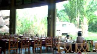 Breakfast with the Lions at Tsavo Lion Restaurant Bali  23 Jun 2010 [upl. by Novi]