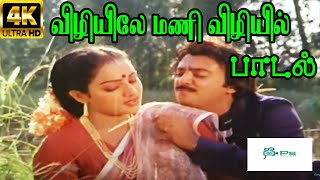 Vizhiyile Mani Vizhiyil விழியிலே மணி விழியில்  S P B S Janaki  Love Duet Melody H D Song [upl. by Klement]