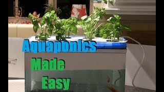 Cheap and Easy 35 Aquaponics  Hydroponics Setup [upl. by Harneen]