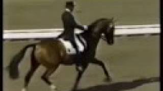 Klimke and Ahlerich  1984 Olympics Dressage [upl. by Nipha121]