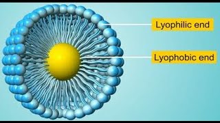 الغروي المحب والكاره للمذيب  lyophilic and lyophobic colloids [upl. by Gaeta]