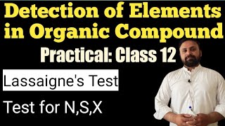 Detection of Elements  Class12  Chemistry Practical Lassaignes Test  Muhammad Waqas [upl. by Jopa]