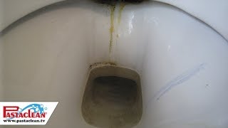 Sanitärpolitur amp Badreiniger von PASTACLEAN  für Toilette Dusche Waschbecken Armaturen [upl. by Norha]