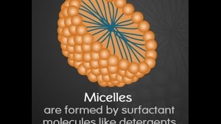 Micelle Function Structure and Formation [upl. by Ewart]