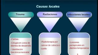 Anomalías dentarias parte II [upl. by Nayek]