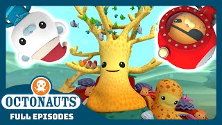 Octonauts  🎄 The Great Christmas Rescue ⛑️  Season 1  Full Episodes  Cartoons for Kids [upl. by Ieso]