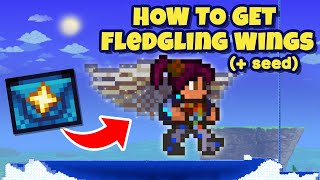 How to get FLEDGLING Wings in Terraria  Seed [upl. by Amity808]