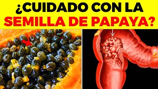 Esto le PASA a tu CUERPO si comes SEMILLAS DE PAPAYA [upl. by Ambert]