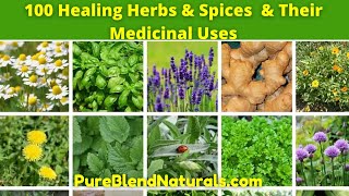 Top 100 Best Healing Medicinal Herbs Spices And Plants Names Health Benefits And Medicinal Uses [upl. by Sinclare]