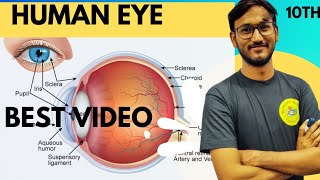 human eyes  class 10 biology  myopia  hypermetropia  presbyopia  best explanation smartclass [upl. by Ninnahc]