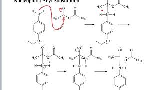 CHEM261 Synthesis of Phenacetin PreLab [upl. by Woehick]